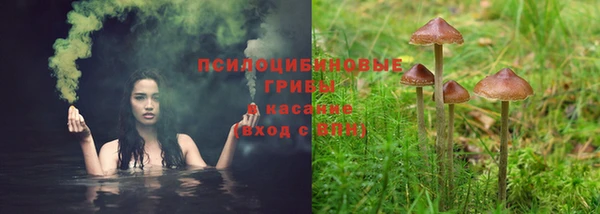 прущий лед Дмитриев
