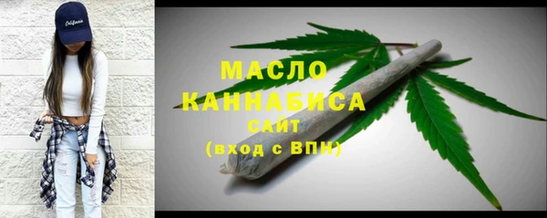 тгк Дмитровск