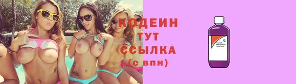 прущий лед Дмитриев